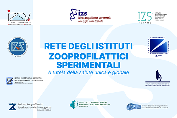 La Rete degli Istituti Zooprofilattici Sperimentali Italiani