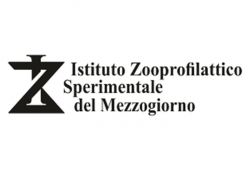 logo copia